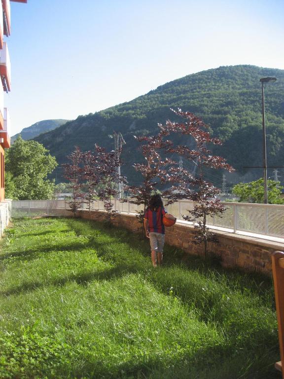 La Faiada El Pont de Suert Quarto foto